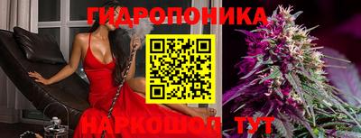 а пвп мука Аша