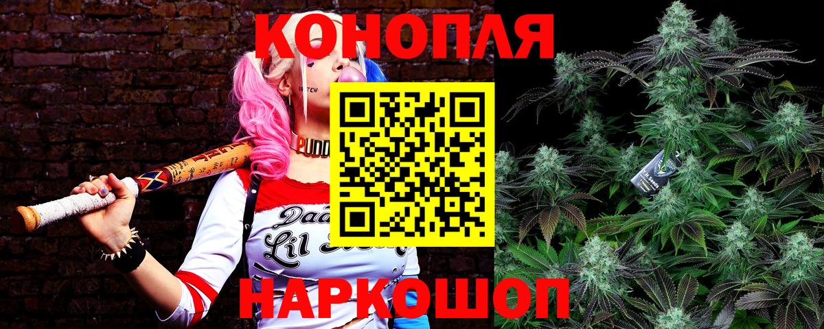 Бошки Шишки SATIVA & INDICA  Вход с VPN  МАРИХУАНА планчик  Канабис ГИДРОПОН  Владимир 